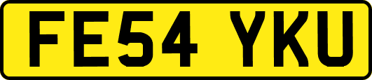 FE54YKU