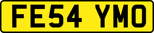 FE54YMO