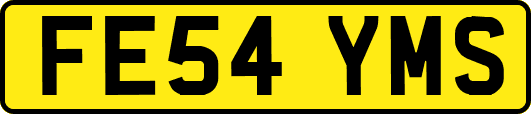 FE54YMS