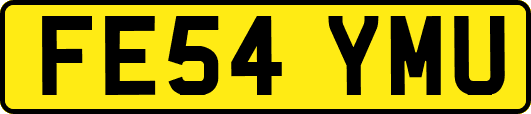 FE54YMU