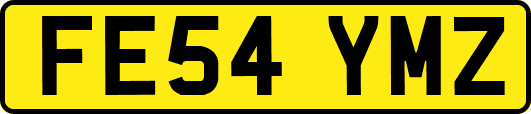 FE54YMZ