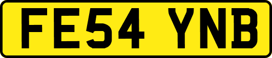 FE54YNB