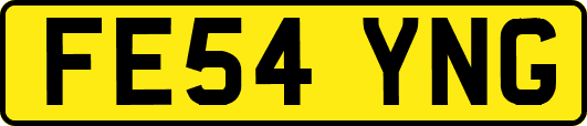 FE54YNG