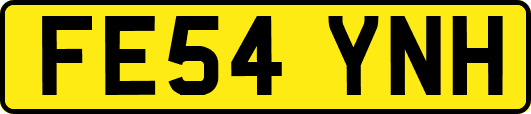 FE54YNH