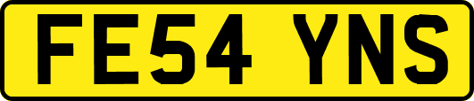 FE54YNS