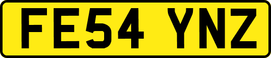 FE54YNZ