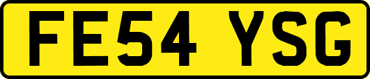 FE54YSG