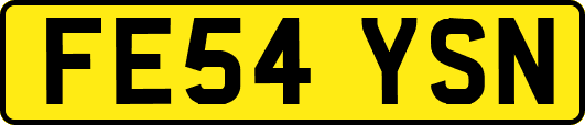 FE54YSN