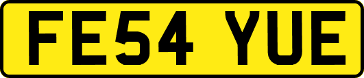 FE54YUE
