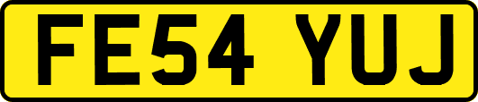 FE54YUJ