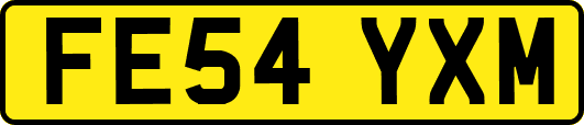 FE54YXM