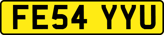 FE54YYU
