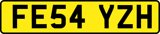 FE54YZH