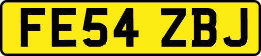 FE54ZBJ