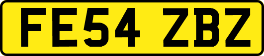 FE54ZBZ