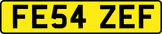 FE54ZEF