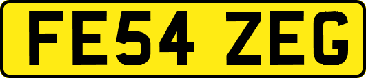 FE54ZEG