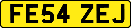 FE54ZEJ