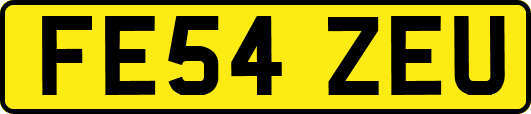 FE54ZEU