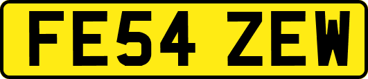 FE54ZEW