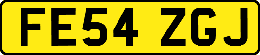 FE54ZGJ