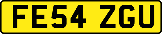 FE54ZGU