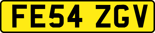 FE54ZGV