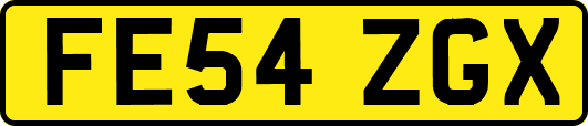 FE54ZGX