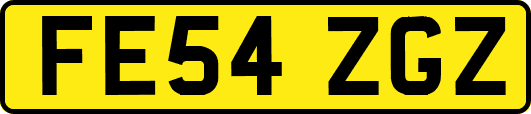 FE54ZGZ