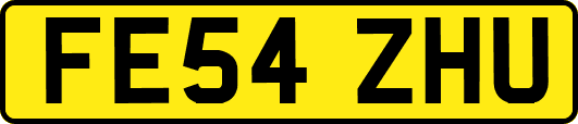 FE54ZHU