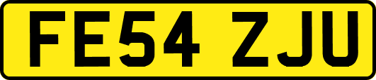 FE54ZJU