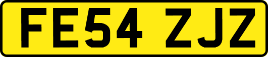 FE54ZJZ