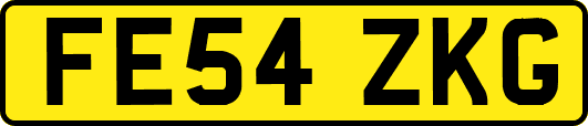 FE54ZKG