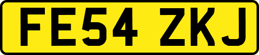 FE54ZKJ