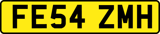 FE54ZMH