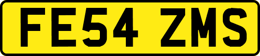 FE54ZMS