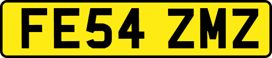FE54ZMZ