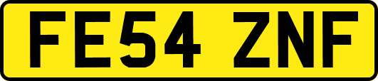 FE54ZNF
