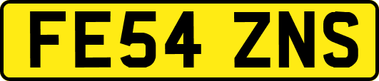 FE54ZNS
