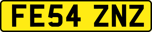 FE54ZNZ