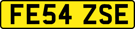 FE54ZSE