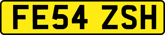 FE54ZSH