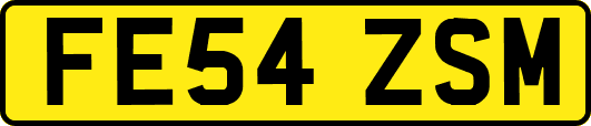 FE54ZSM