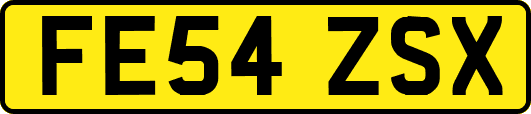 FE54ZSX