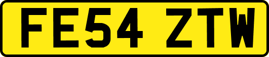 FE54ZTW
