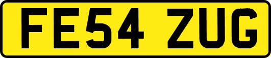 FE54ZUG