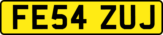 FE54ZUJ