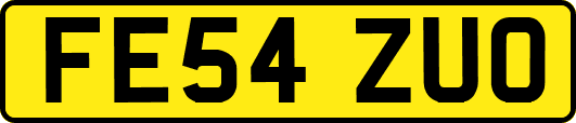 FE54ZUO