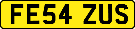 FE54ZUS