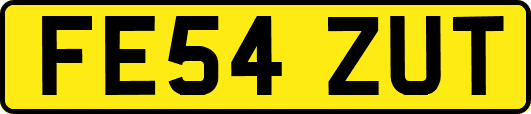 FE54ZUT